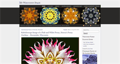 Desktop Screenshot of mywisconsinspace.com